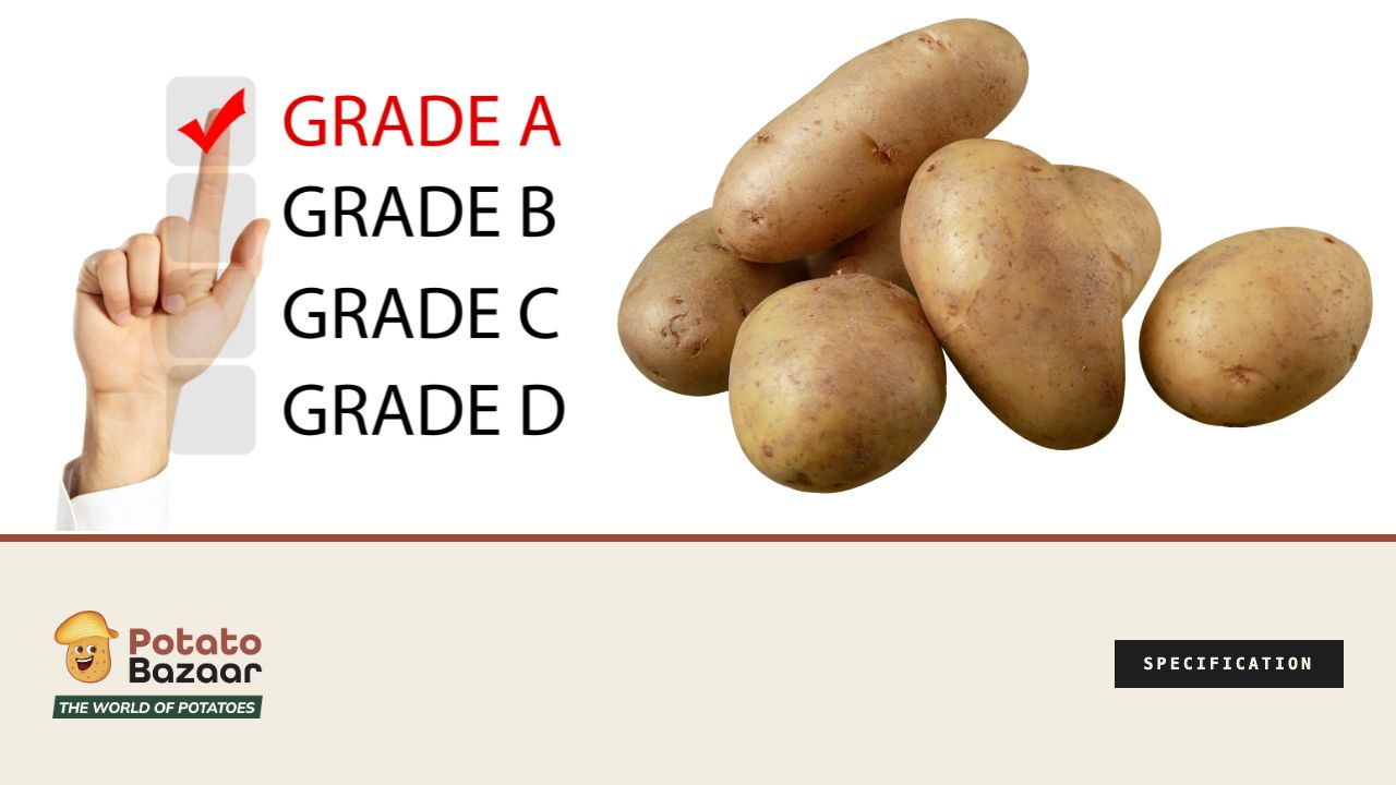 A Grade means different things — a grade selection checklist beside sorted potatoes