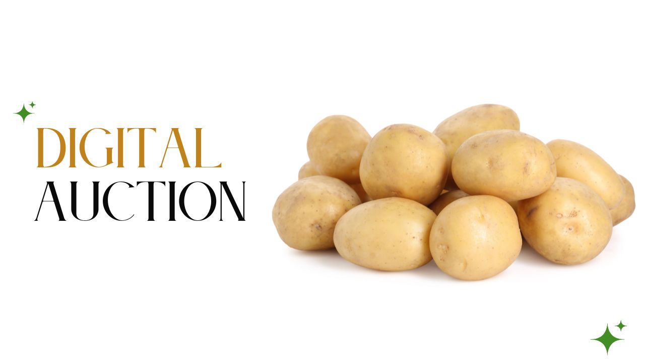 Can digital auctions improve price discovery in India’s potato trade — buyers and sellers bidding transparently