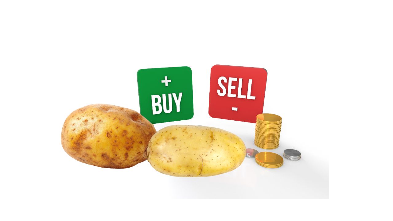 Buy and sell potatoes in India for chips, fries, starch, flakes and processing