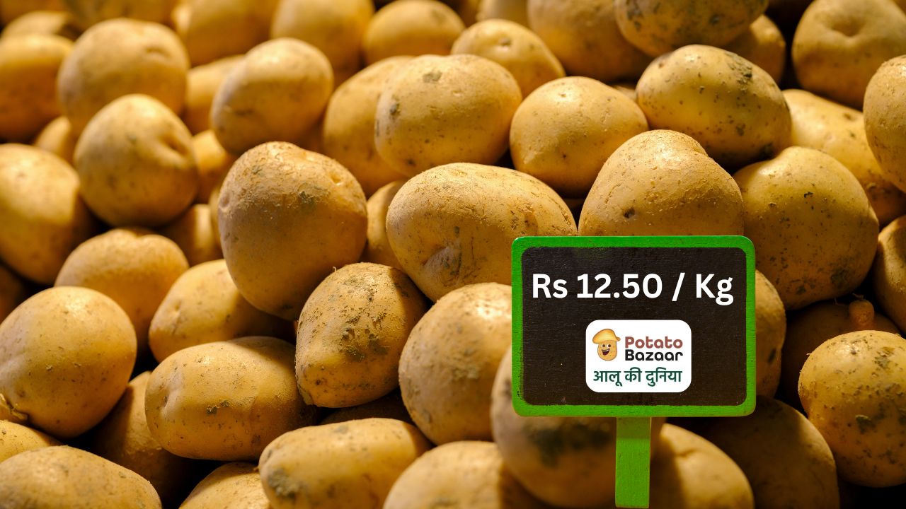 A pile of fresh potatoes with a Potato Bazaar price placard showing a per-kilo rate, illustrating regional potato pricing