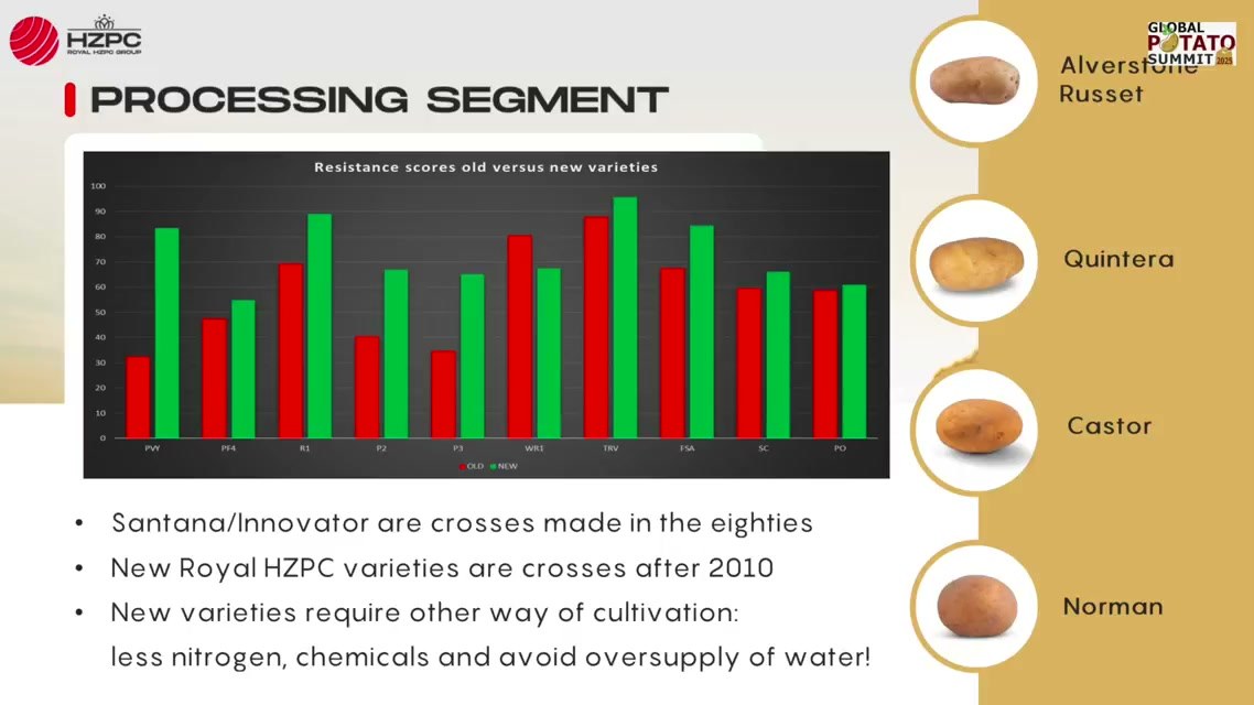 HZPC slide comparing resistance scores of old and new potato varieties in the processing segment