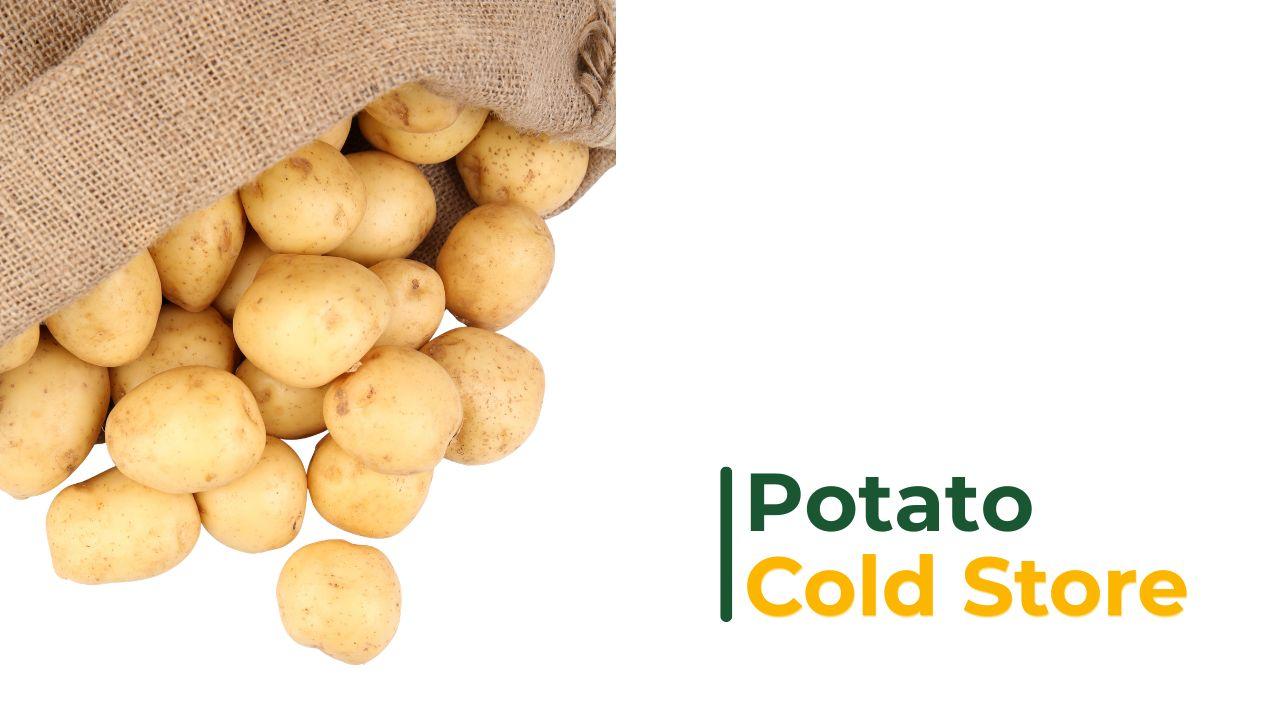 Cold storage decisions and farmer profitability — Indian potato cold store
