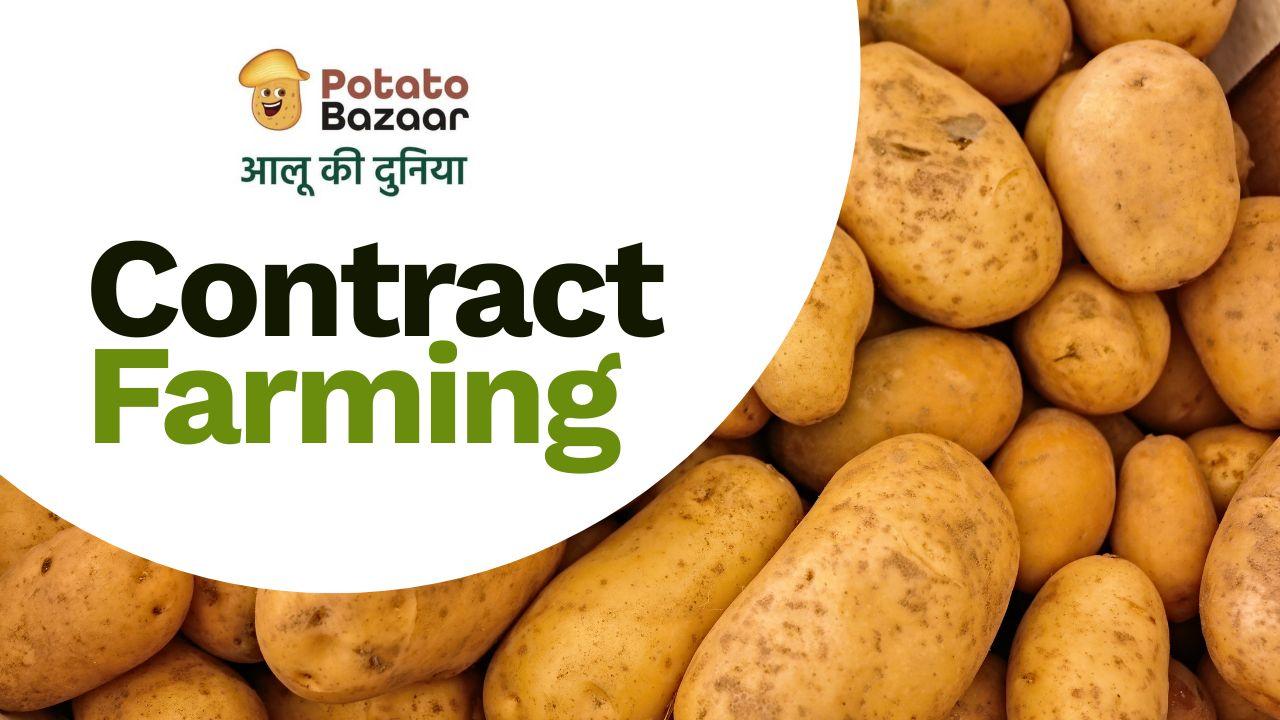 Contract farming linkage between Indian potato growers and processing buyers on the Potato Bazaar marketplace