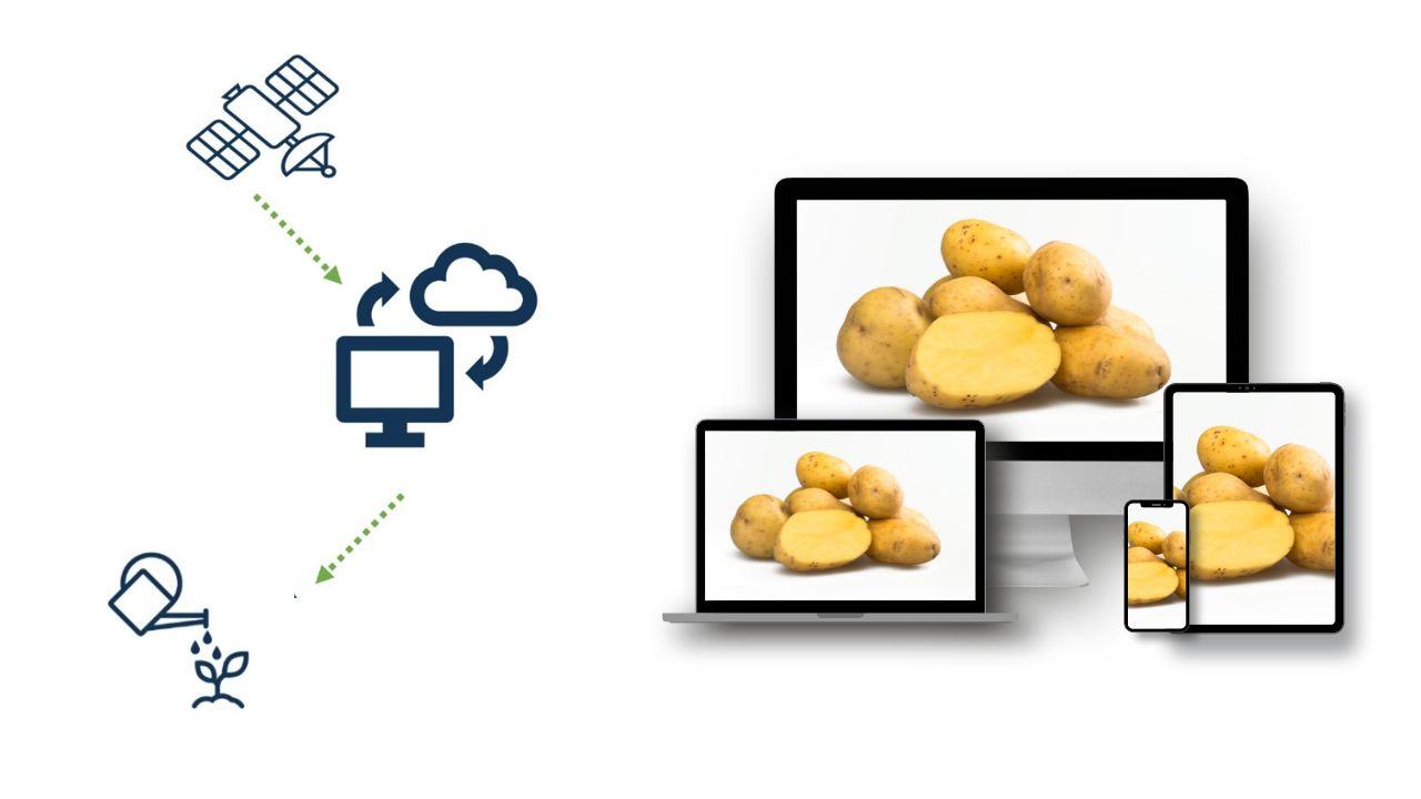 Potato farming technology in India — crop diagnostics and advisory apps helping farmers identify diseases and make better decisions