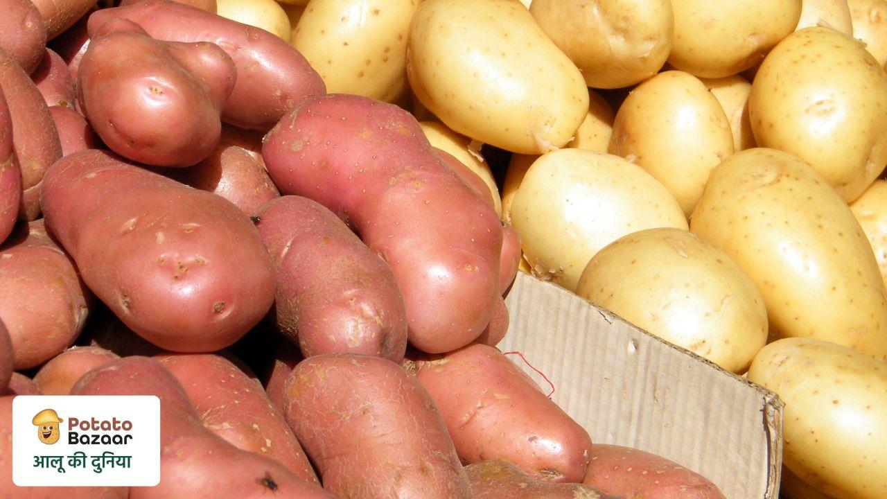 What drives potato prices — a framework of arrivals, storage, demand and seasonality