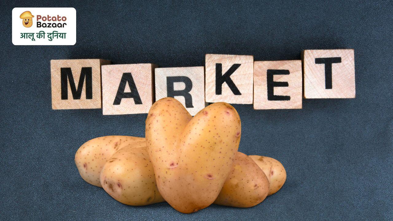 Why potato farmers need market intelligence beyond mandi prices — arrivals, demand, processing and export signals