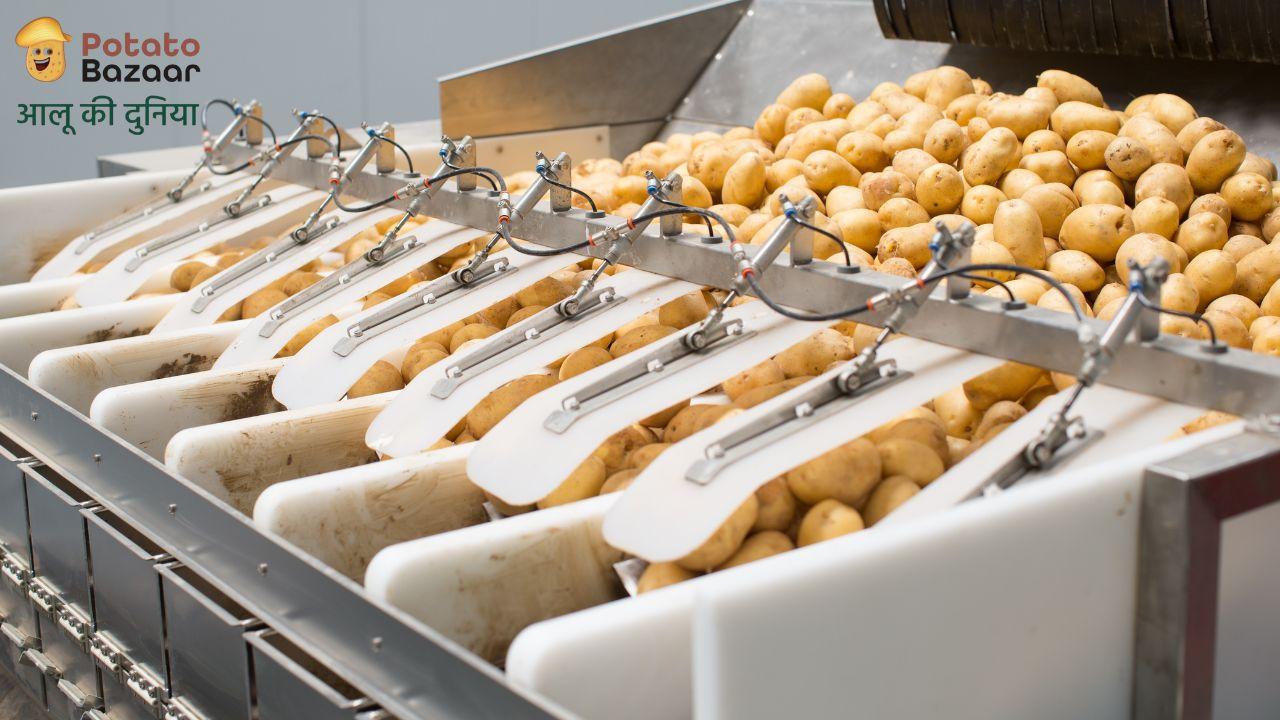 A potato grading and sorting line — the kind of allied machinery a processor searches for when sourcing suppliers across the potato industry