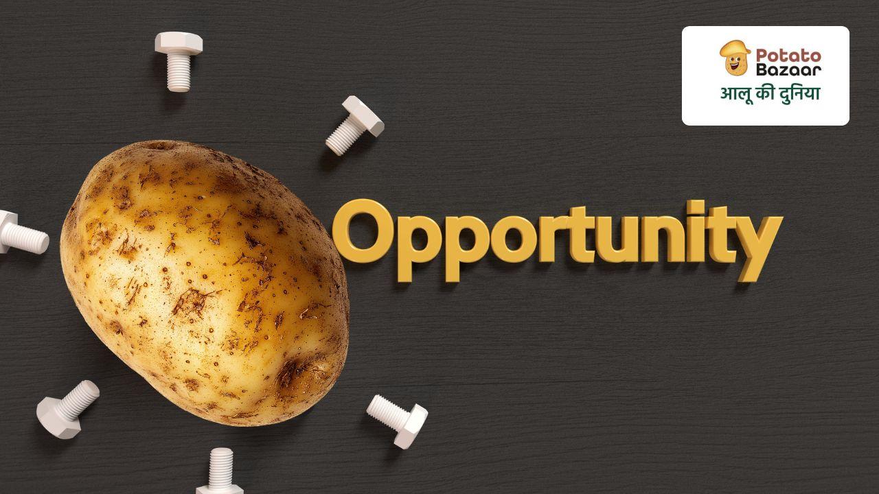 Employment and entrepreneurship opportunities across India's potato sector — careers in processing, cold chain, procurement, agronomy and agri-tech